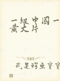 一级中国一级特黄大片