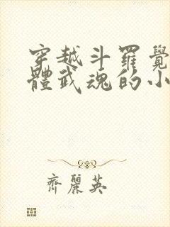 穿越斗罗觉醒本体武魂的小说