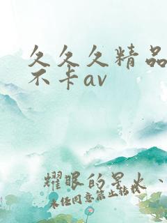 久久久精品亚洲不卡av