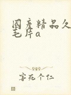 国产精品久久久毛片a