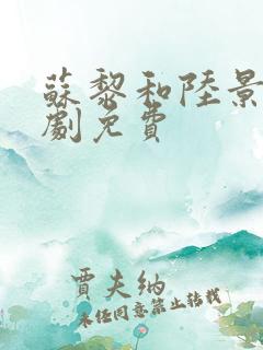 苏黎和陆景川短剧免费