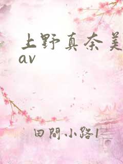 上野真奈美在线av