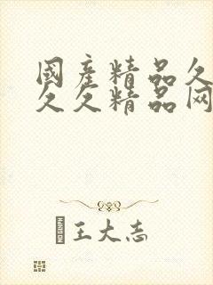 国产精品久久久久久精品网站