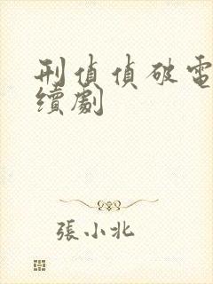 刑侦侦破电视连续剧