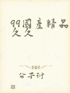99国产精品久久久
