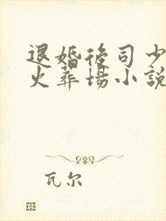 退婚后司少追妻火葬场小说全集