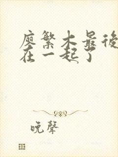 廖繁木最后和谁在一起了