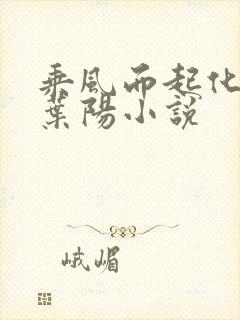 乘风而起化天骄叶阳小说