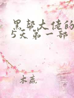 黑帮大佬的365天第一部