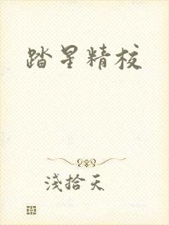 踏星精校