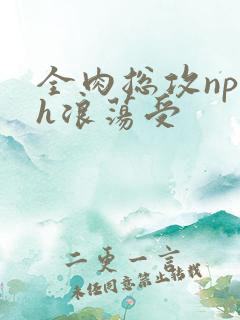 全肉总攻np高h浪荡受