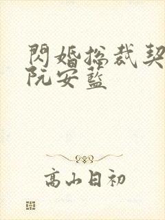 闪婚总裁契约妻阮安蓝