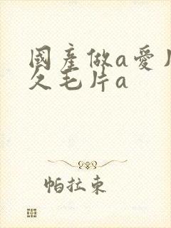 国产做a爱片久久毛片a