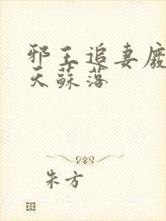 邪王追妻废材逆天苏落