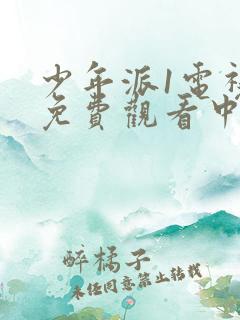 少年派1电视剧免费观看中文版