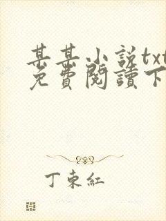 某某小说txt免费阅读下载
