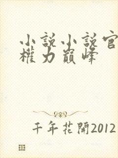 小说小说官途:权力巅峰