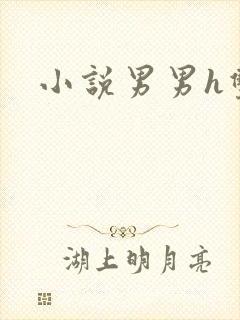 小说男男h双性