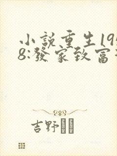 小说重生1958:发家致富从南锣鼓巷开始小说