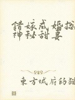 错嫁成婚总裁的神秘甜妻