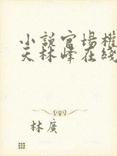 小说官场权势滔天林峰在线阅读