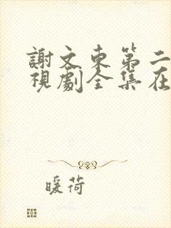 谢文东第二季电视剧全集在线观看