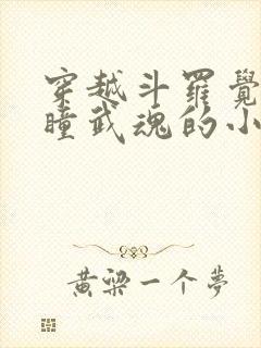 穿越斗罗觉醒重瞳武魂的小说