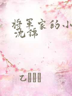 将军家的小娘子 沈锦