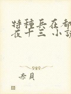 特种兵在都市 夜十三 小说