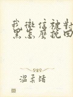 我微信被对方拉黑怎么挽回