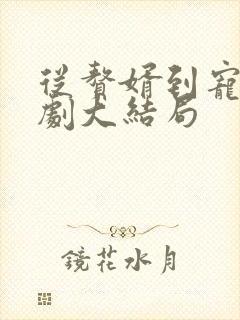 从赘婿到宠臣短剧大结局