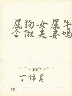 属狗女属牛男适合做夫妻吗