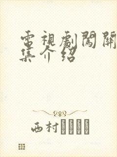 电视剧闯关东分集介绍