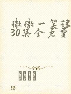 微微一笑很倾城30集全免费