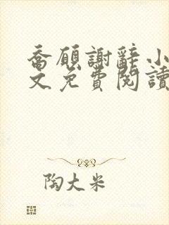 乔愿谢辞小说全文免费阅读