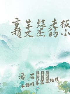 重生煤老板之子赵文杰的小说