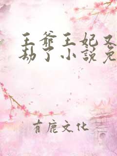 王爷王妃又去打劫了小说免费