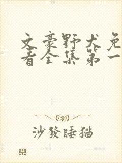 文豪野犬免费观看全集第一季