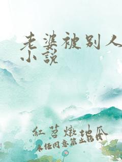 老婆被别人操的小说