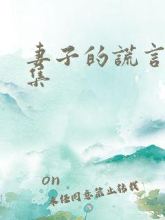 妻子的谎言有几集