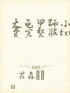 大龟甲师小说免费完整版txt下载