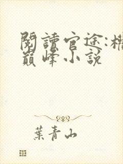 阅读官途:权力巅峰小说