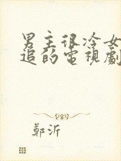 男主很冷女主倒追的电视剧