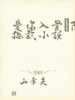 爱你入骨·隐婚总裁小说