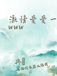 激情爱爱一级片www