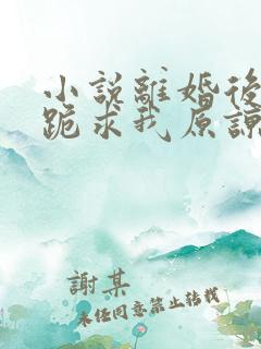 小说离婚后前夫跪求我原谅