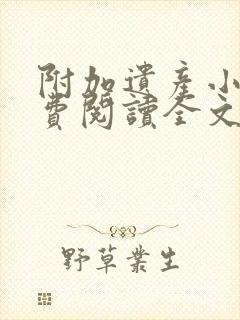 附加遗产小说免费阅读全文无窗口