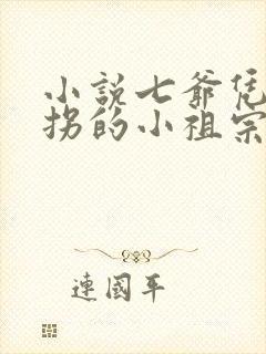 小说七爷凭本事拐的小祖宗