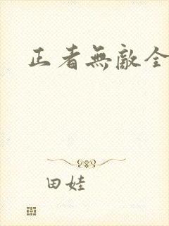 正者无敌全集