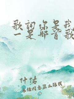 歌词你是我的唯一是哪首歌的歌词